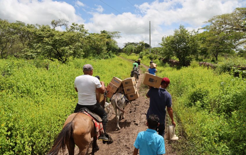FMSC food being delivered by donkey and horse on trail.