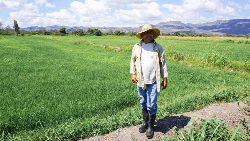 A farmer stands in front of his field of rice, which is used in FMSC's GlobalPack meals