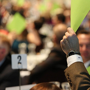 Spectacular Live Auction and Raffle