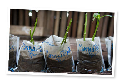 Sustainability